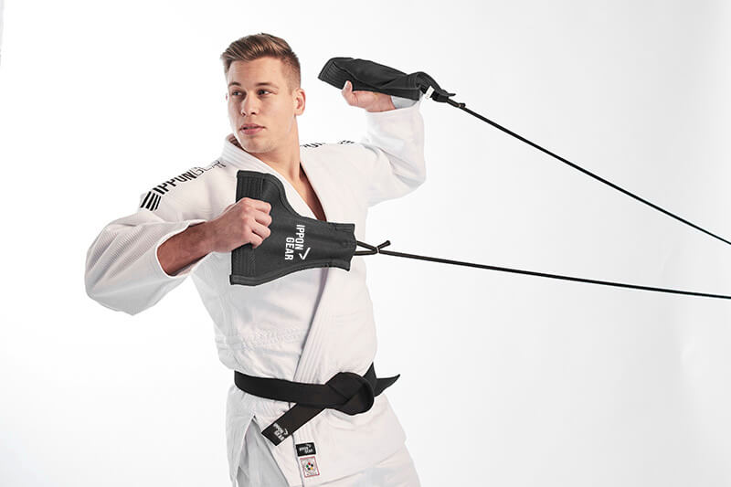 Тренежер для єдиноборств IPPONGEAR Uchi Komi 2 (учі комі) 2